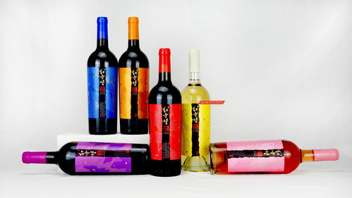 寧夏紅寺堡全新紅酒品牌全案設(shè)計產(chǎn)品開發(fā)案例